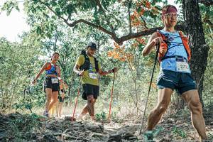 BIB: 
                            <button type="button" onclick="openModal(26103616)" class="btn btn-primary btn-sm float-right btn-popup" data-toggle="modal" data-target=".modal-high-quality">
                        <i class="fas fa-shopping-cart"></i> Add to Cart
                    </button>
                                            <button type="button" onclick="isThisMe(26103616, true)" class="btn btn-success btn-sm float-right btn-popup btn-isme hidden" data-toggle="tooltip" data-placement="bottom" title="นี่คือรูปของคุณใช่ไหม คลิกที่นี่เพื่อเอาเข้าอัลบั้ม">
                        <i class="fas fa-plus"></i> Add to album
                    </button>
                    <button type="button" onclick="isThisMe(26103616, false)" class="btn btn-warning btn-sm float-right btn-popup btn-isnotme hidden">
                        <i class="fas fa-ban"></i> Remove from album
                    </button>